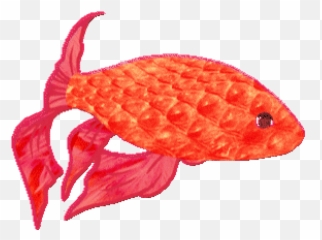 Top Goldfish We Come Together Stickers - Fish Products Emoji,Goldfish Emoji