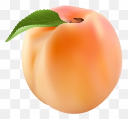 1263 Peach Free Clipart - Transparent Emoji