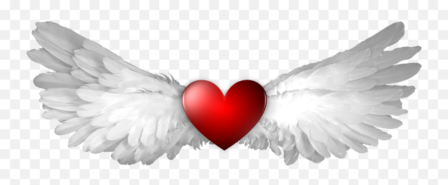 Heart Wing Wings - Baby Angel Wings Png Emoji,Floating Heart Emoji