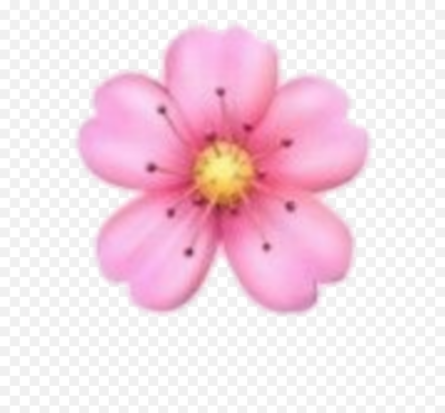 Qopo - Pink Flower Emoji Png,Bts Emoji