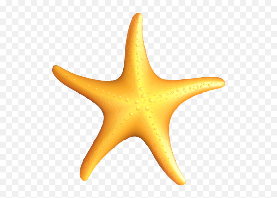 Transparent Beach Starfish Png Clipart - Starfish Clipart Emoji,Starfish Emoji