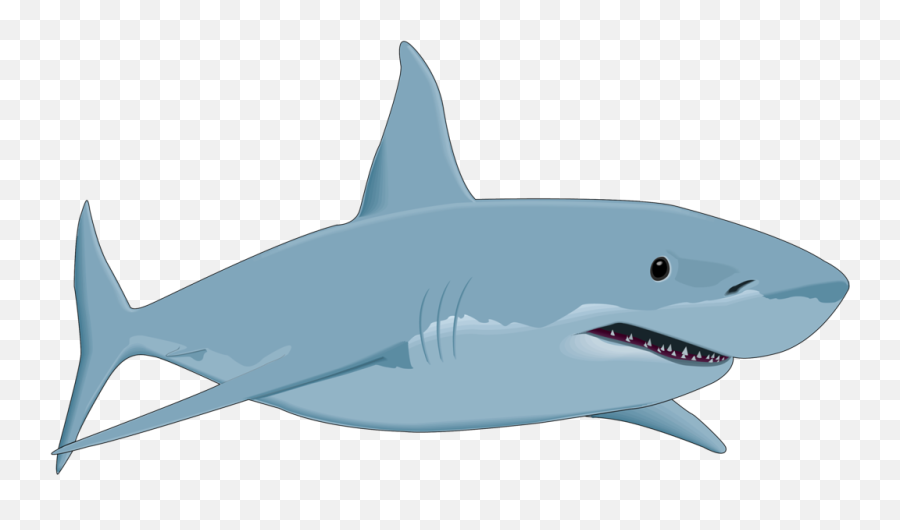 Shark Transparent U0026 Png Clipart Free Download - Ywd Shark Clipart Emoji,Left Shark Emoji