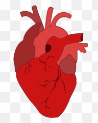 Free Heart Clipart Background Images Png Files - Real Emoji