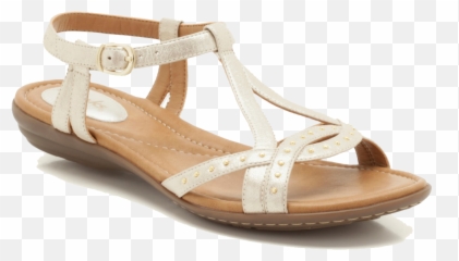 Hq Sandal Png Images Free Pictures - Ladies Sandal Png Emoji,Sandal Emoji
