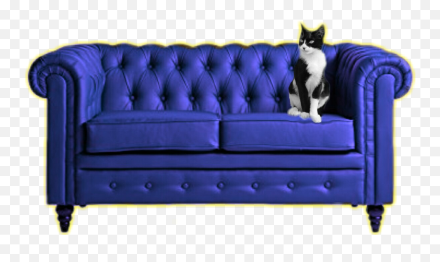 Couch Cat - Edgar Canapé Chesterfield Droit Fixe Places Tissu Microfibre Vintage P 82 Cm Emoji,Couch Emoji