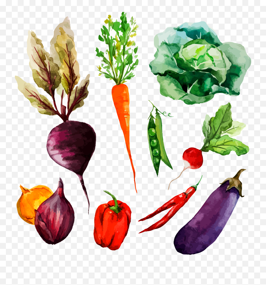 Drawing Vegetable Radish Transparent Emoji,Emoji Vegetables