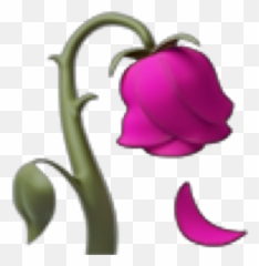 Flower Iphone Iphoneemoji Emoji Pink Aesthetic Picsart - Cartoon,Rope Emoji