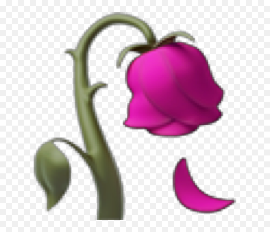 Flower Iphone Iphoneemoji Emoji Pink Aesthetic Picsart - Cartoon,Rope Emoji