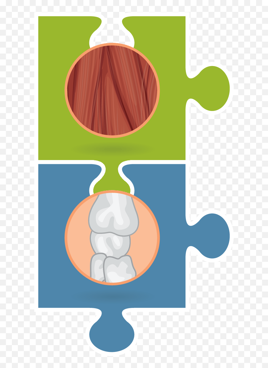 Muscles Clipart Musculoskeletal System - Musculoskeletal Clip Art Emoji,Muscles Emoji
