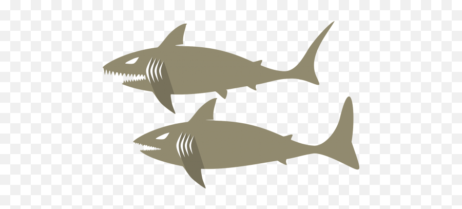 Free Photos Shark Search Download - Needpixcom Emoji,Shark Fin Emoji