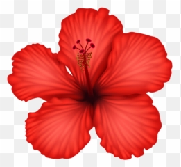 Pin - Red Hibiscus Flower Drawing Emoji