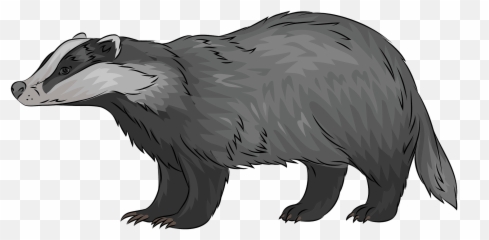 European Badger Clipart - Badger Clipart Emoji,Honey Badger Emoji