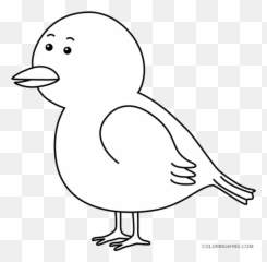 Black And White Bird Coloring Pages - Printable Clipart Emoji