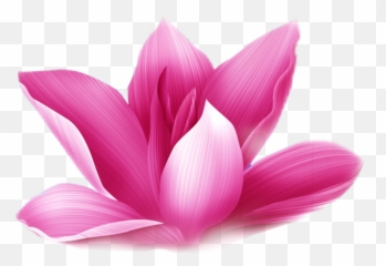 Lotus Flower - Sacred Lotus Emoji,Lotus Flower Emoji