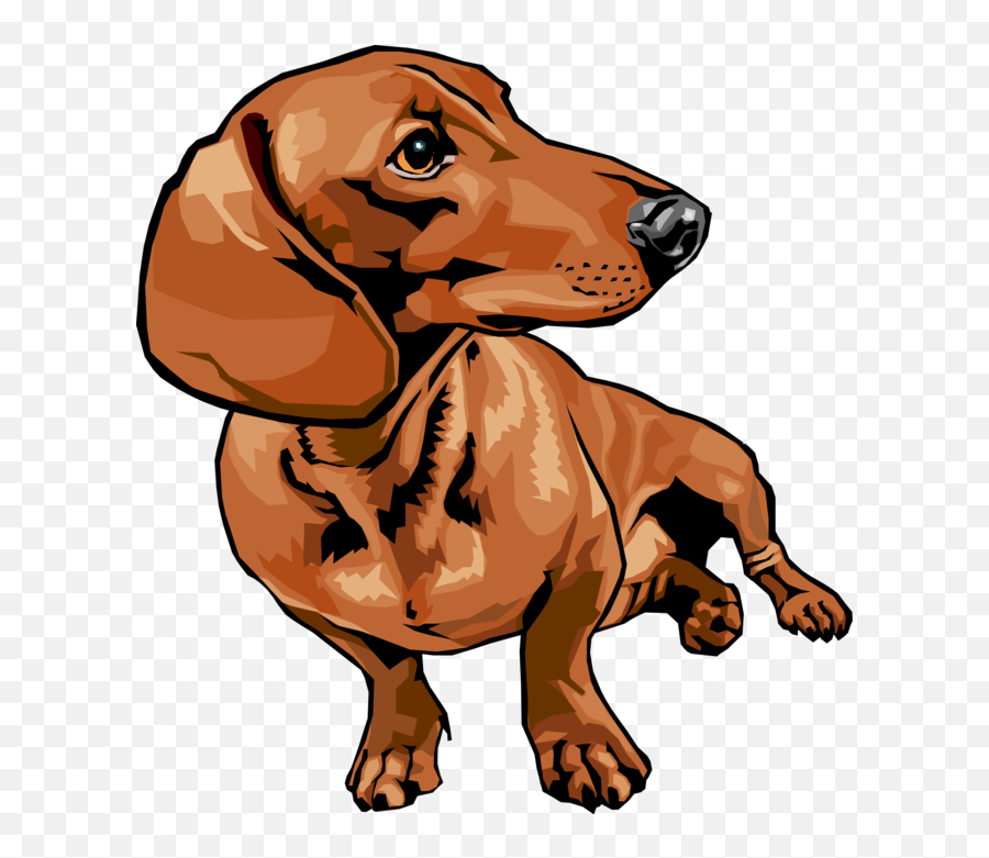 Dogs Vector Illustrator Transparent - Dachshunds Clipart Emoji,Wiener Dog Emoji