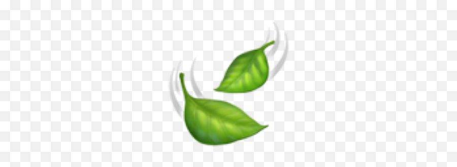 Emoji Iphoneemoji Green Leaf Leaves Foglia Foglie Aesth - Illustration,Leaves Emoji