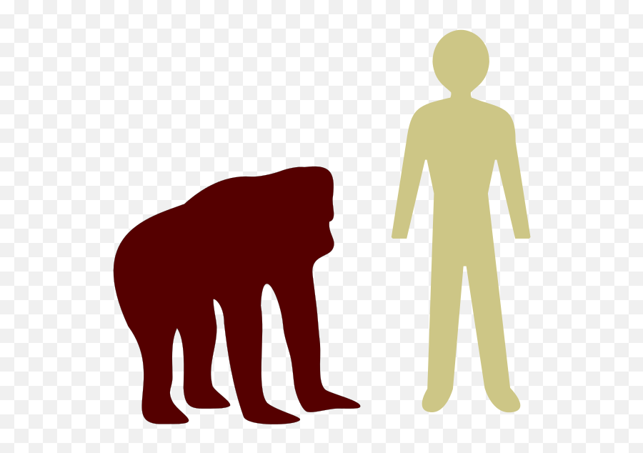 Orangutan - Height Of An Orangutan Emoji,Emoji Comparison
