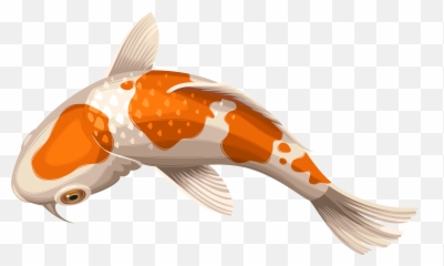 Download Carp Drawing Coy Fish - Koi Transparent Background Emoji