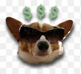 Doghouse Esports Has Its - Dorgi Emoji,Corgi Emoji