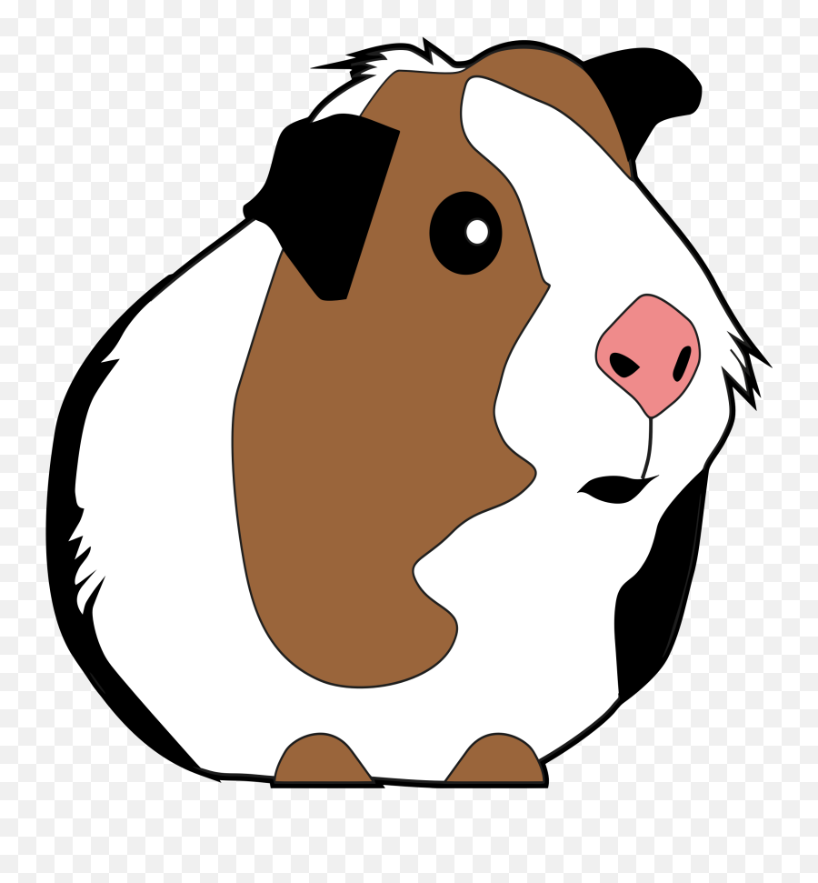 Guinea Pig Clipart Png - Guinea Pig Clipart Png Emoji,Guinea Pig Emoji