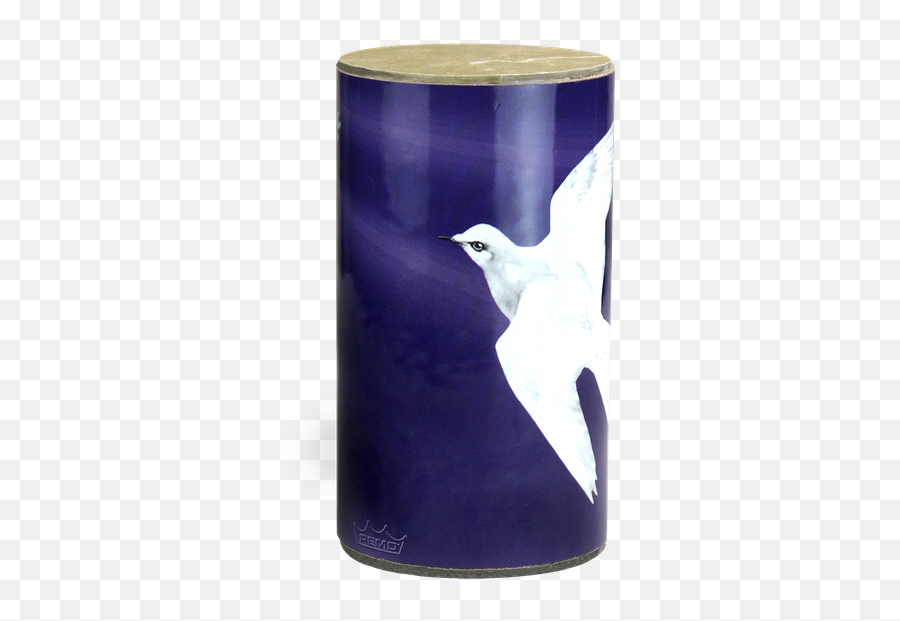 Praise Shaker Image - Laughing Gull Hd Png Download Seabird Emoji,Praise Emoji Png