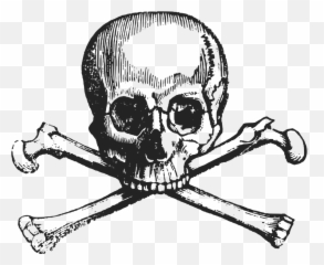 Skull And Cross Bones Png Images - Clipart Emoji