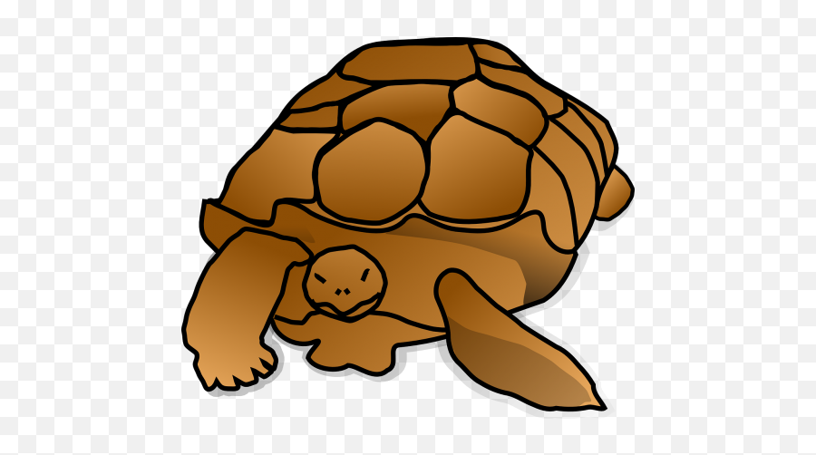 Amphibian Drawing Sea Turtle Picture - Turtle Cartoon Emoji,Google Turtle Emoji