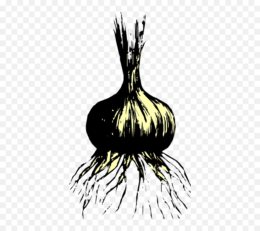 Free Onions Food Illustrations - Illustration Emoji,Taco Bell Emoji