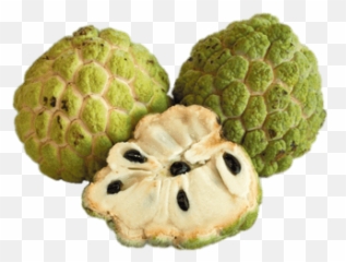 Search Results For Toffee Apples Png - Custard Clipart Emoji