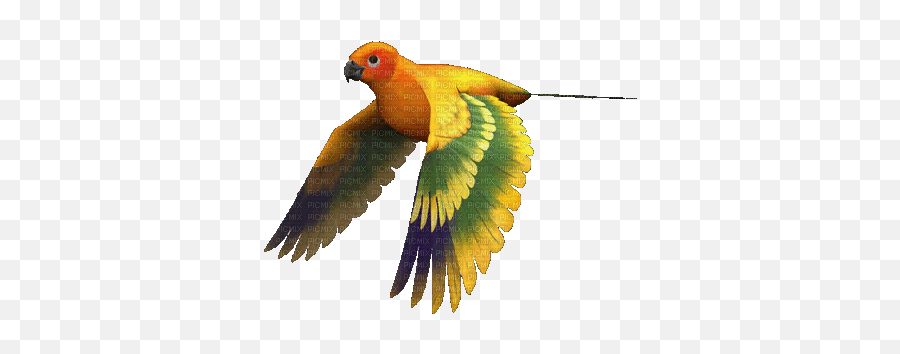 Aze Oiseau Tube Gif Glitter Animation - Parrot Animated Gif Transparent Emoji,Parrot Emoticon