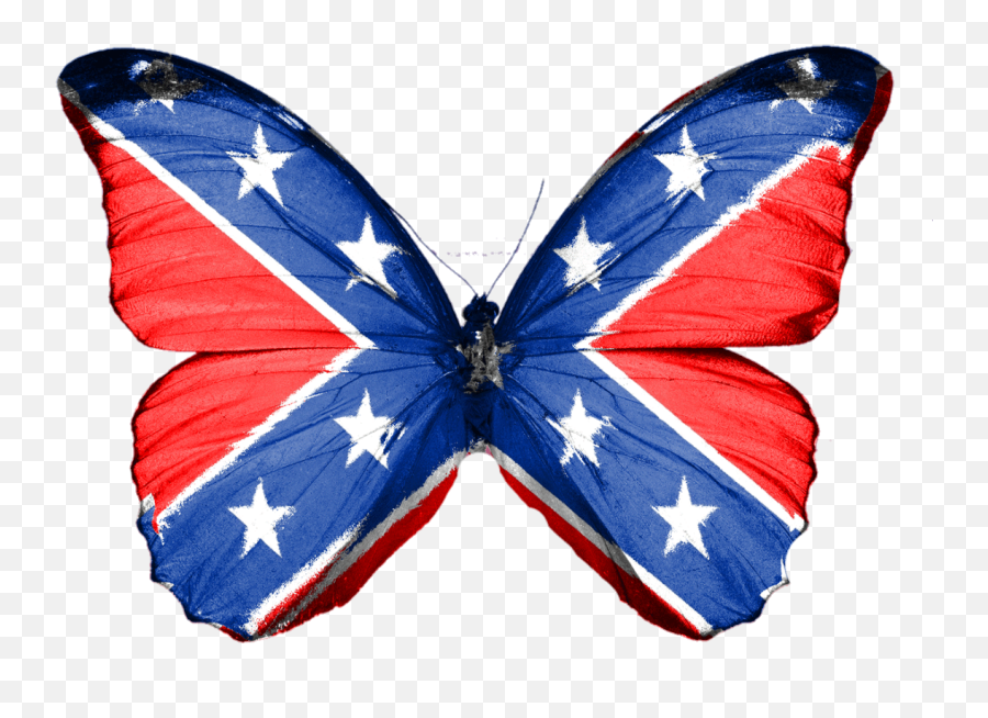 Butterfly Confederate South Rebel Insect - Green Butterfly No Background Emoji,Confederate Flag Emoji