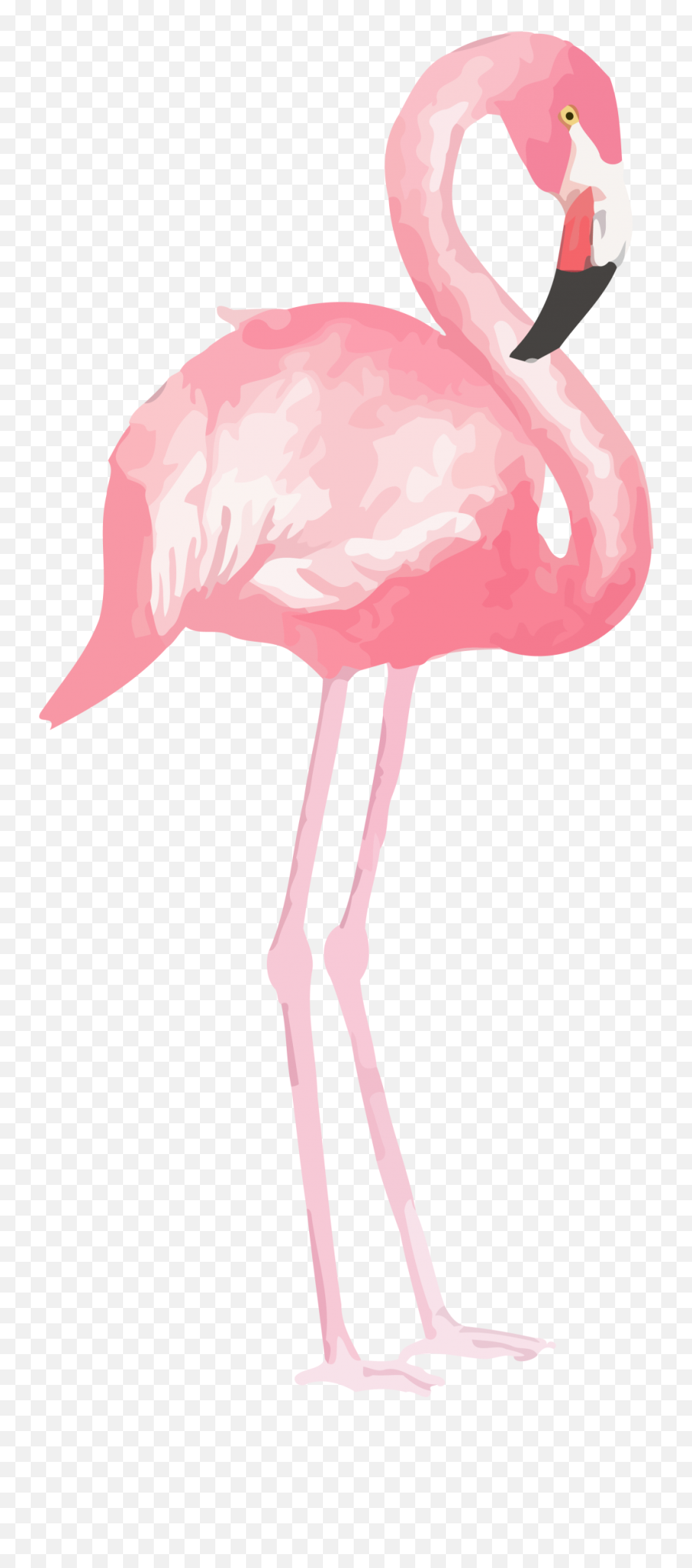 Flamingo Clipart Png - Png Emoji,Flamingo Emoji