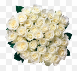 White Rose Cut Out Png - White Rose Pic Download Emoji,White Rose Emoji