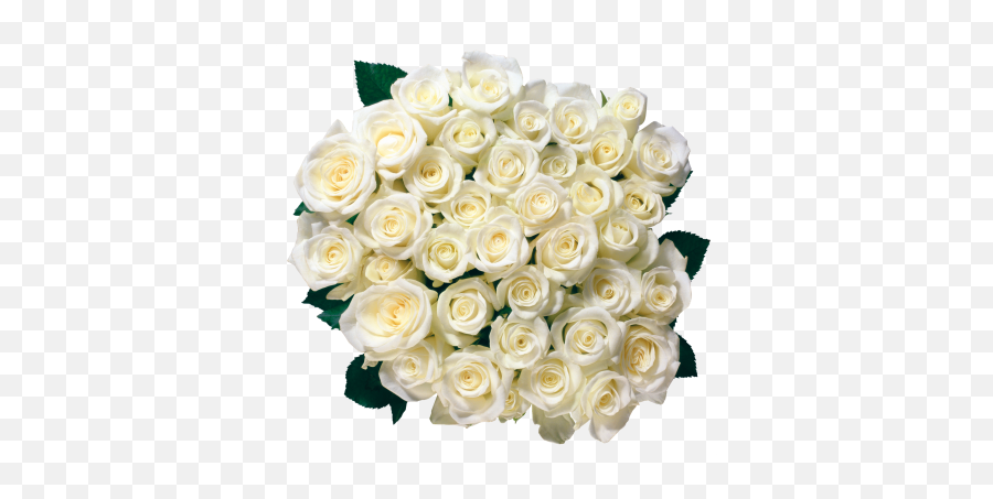White Rose Cut Out Png - White Rose Pic Download Emoji,White Rose Emoji