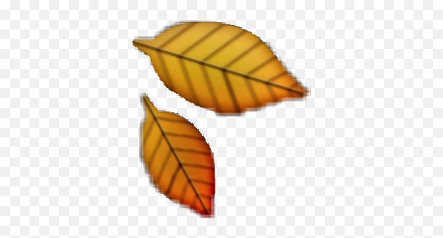 Download Hd Autumn Leaves Clipart Emoji,Leaves Emoji