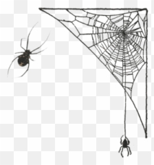 Spider Spiderweb Corner Frame Spiders - Web Emoji