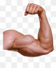 Popular And Trending Muscle Stickers - Muscular Arm Transparent Background Emoji,Muscles Emoji