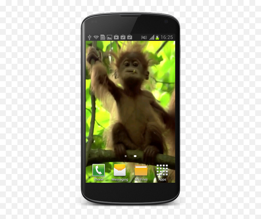 Baby Monkey Live Wallpaper 12 Download Android Apk Aptoide - Smartphone Emoji,Android Monkey Emoji