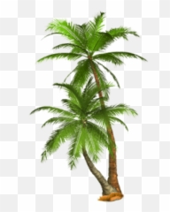 Free Png Palm Tree Images Transparent - Trees Emoji