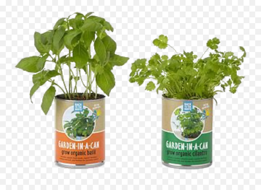 Plant Plants Herbs Sticker By - Garden Emoji,Herb Emoji