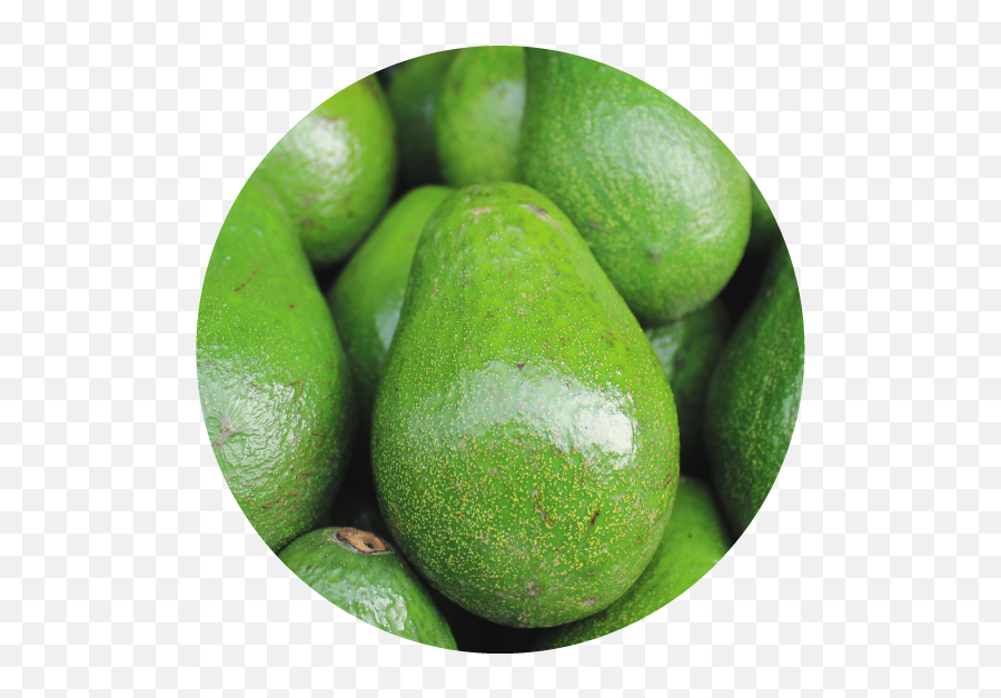 Smashing Avocado Disease Threats - Bright Green Avocado Emoji,Avocado Emoji