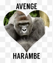 Harambe Meme Martyr Stickers For Telegram - Photo Caption Emoji,Harambe Emoji