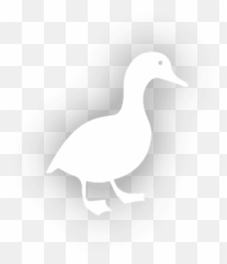 Architecture Photos Design Ideas - Domestic Duck Emoji,Shooting Bird Emoji