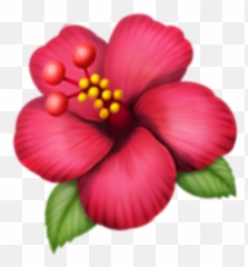 Pink Flower Emoji Png Picture - Hawaiian Hibiscus,Red Flower Emoji