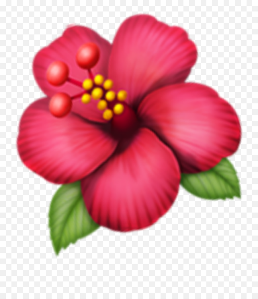 Pink Flower Emoji Png Picture - Hawaiian Hibiscus,Red Flower Emoji