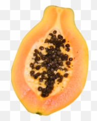 Popular And Trending Papaya Stickers - Portable Network Graphics Emoji,Papaya Emoji