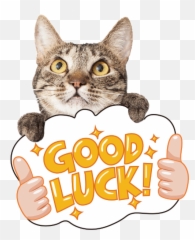 Kitty Cat Animal Kitten Vector - Cat Grabs Treat Emoji,Kitten Emoticons