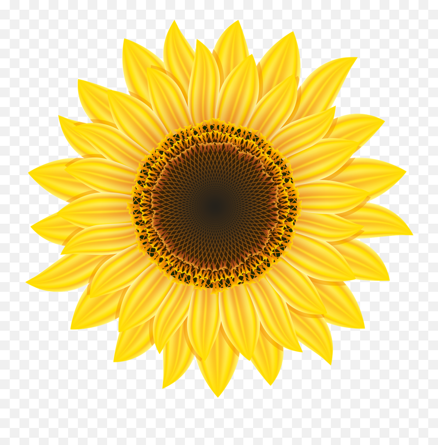 Emoji Transparent Png Clipart Sun Flower Clipart Png Free Transparent Emoji Emojipng Com