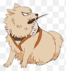 Dumbgaybitches - Bakugou Katsuki As A Dog Emoji,Bakugou Emoji
