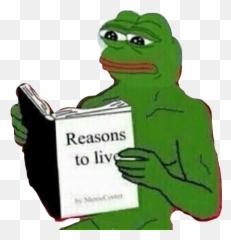 Reasonstolive Frog Frogface Meme Memes - Kermit The Face Emoji